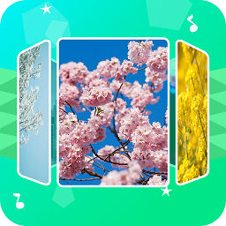 音乐相册助手最新版