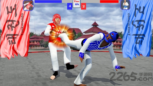 跆拳道战斗游戏下载