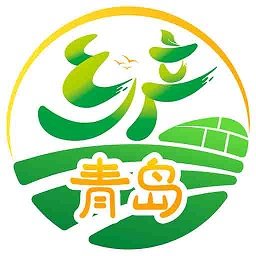 乡产青岛app
