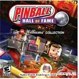 弹珠台名人堂游戏