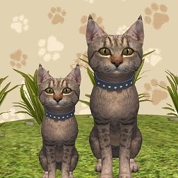 萌宠生存记最新版