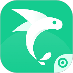 飞鱼专注官方版