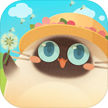 猫咪公寓测试服