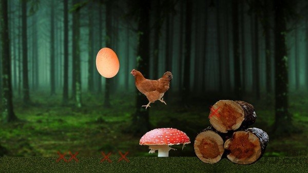 母鸡灭绝计划手机版游戏下载